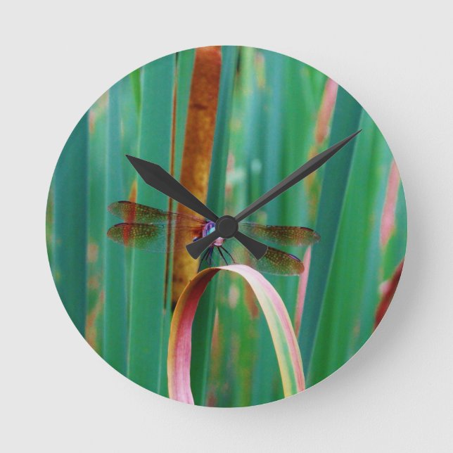 A teal Eyed Dragonfly with cattails Round Clock (Front)