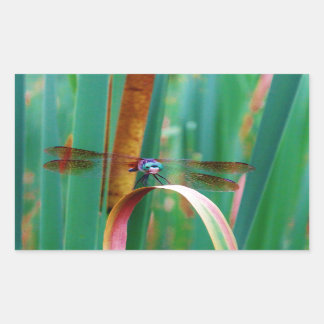 A teal Eyed Dragonfly with cattails Sticker
