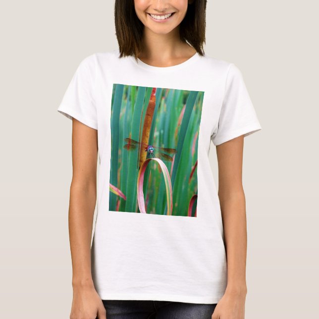 A teal Eyed Dragonfly with cattails T-Shirt (Front)