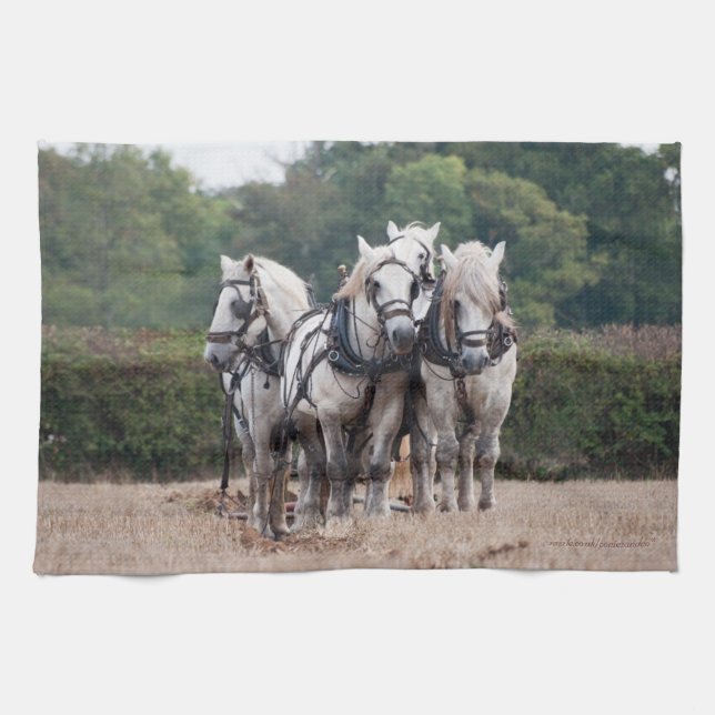 A team of Percheron's Kitchen Towel (Horizontal)