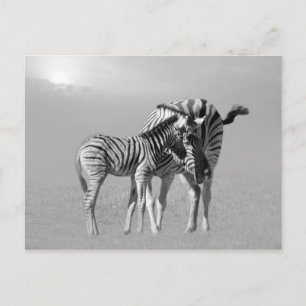 A tender moment between mom and baby postcard