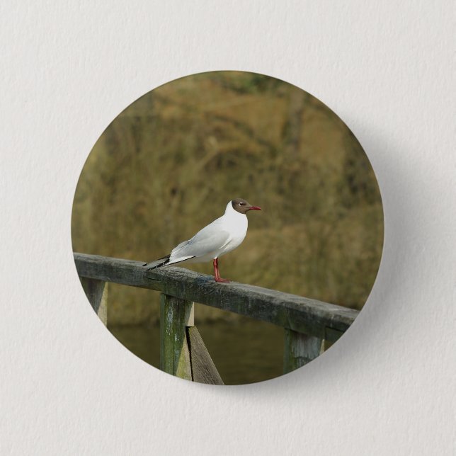 A tern - button (Front)