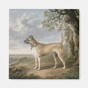 A Terrier on a path in a wooded landscape Magnet