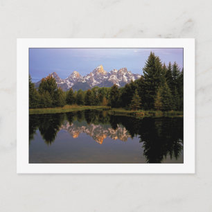 "A Teton Morning" Postcard