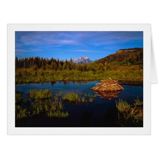 "A Teton Summer" (Front Horizontal)