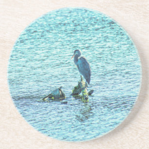 A Thinker Coaster