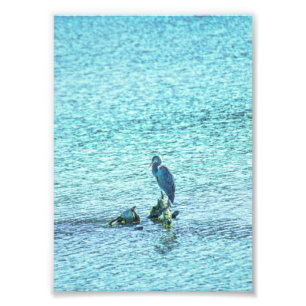 A Thinker Photo Print