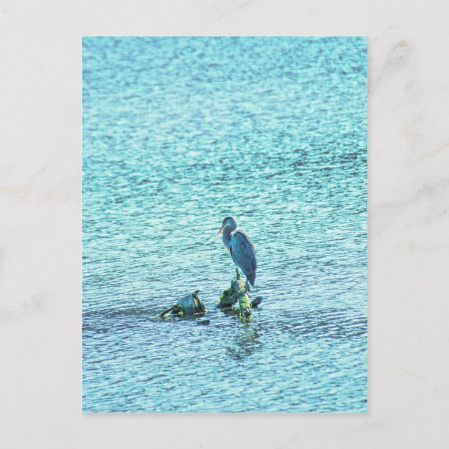 A Thinker Postcard (Front)