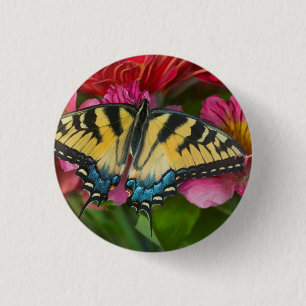 A Tiger Swallowtail Butterfly 1 Inch Round Button