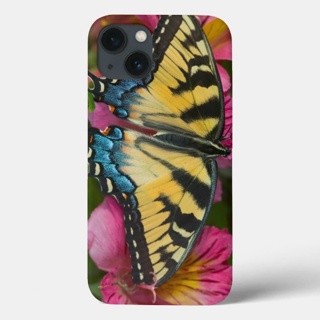 A Tiger Swallowtail Butterfly Case-Mate iPhone Case (Back)