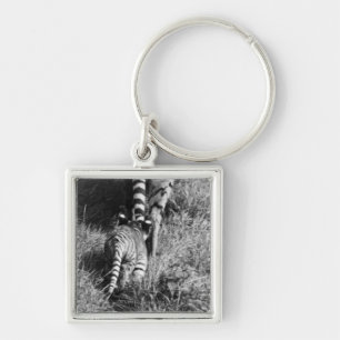 A tiger with her two cubs at Whipsnade Zoo. Keychain