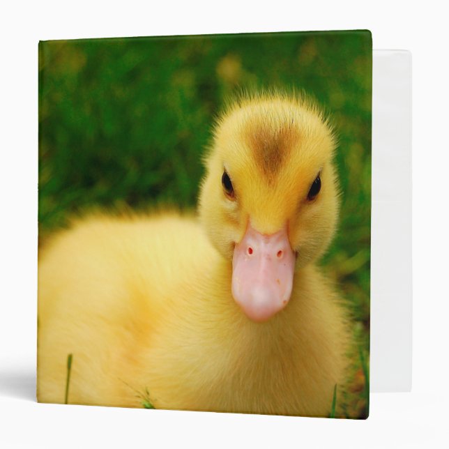A Tiny Duckling Binder (Front/Inside)