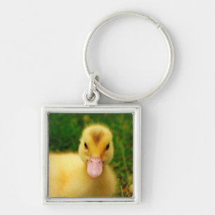 A Tiny Duckling Keychain