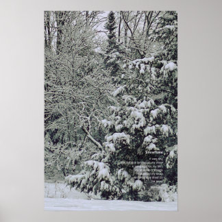 A Tiny Snowflake Poem, Winter Scene Poster