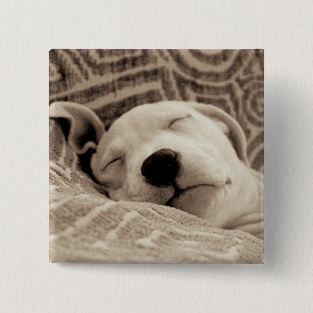 A Tired Dog 2 Inch Square Button (Front)
