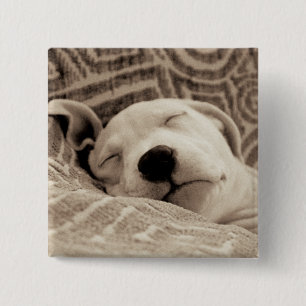 A Tired Dog 2 Inch Square Button