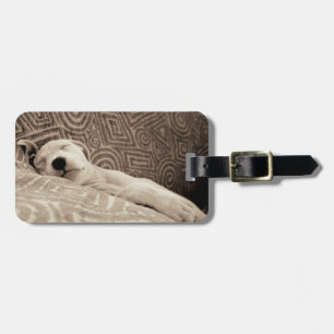 A Tired Dog Luggage Tag