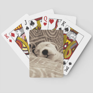 A Tired Dog Playing Cards