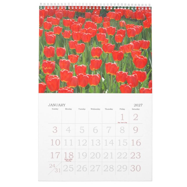 a touch of red for 2013 calendar (Jan 2027)