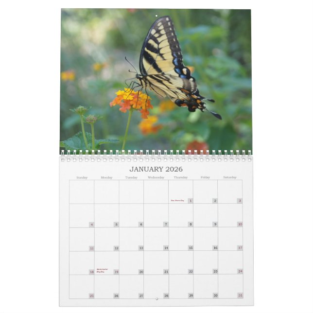 A Touch of the Sun Butterfly Calendar (Jan 2026)