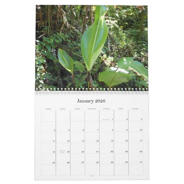 A Touch of the Tropics Calendar (Jan 2026)