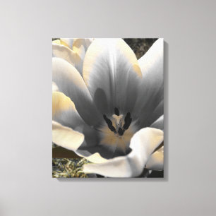 A Touch of Yellow Canvas Print
