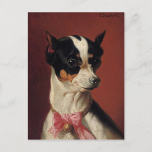 A Toy Pincher Postcard