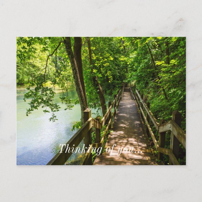 A Tranquil Hike Postcard (Front)