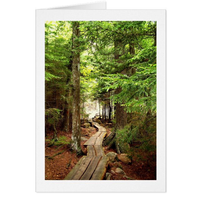 À travers les bois (Devant)