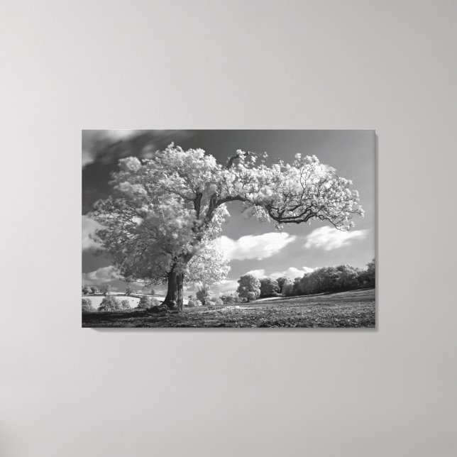 A Tree Blows in the Wind Canvas Print (Front)