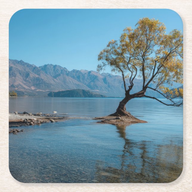 A Tree in a Lake Square Paper Coaster (Front)
