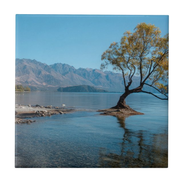 A Tree in a Lake Tile (Front)