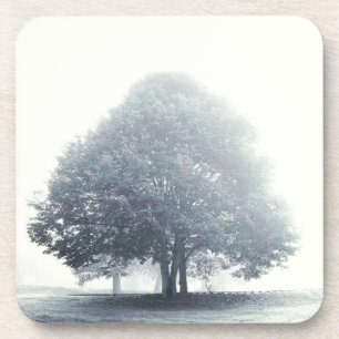 A Tree in Fog Black and White Coaster