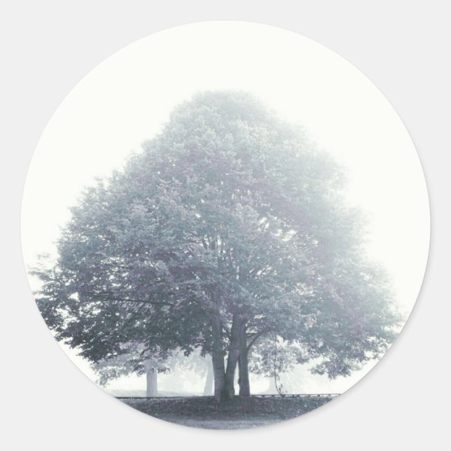 A Tree in Fog Classic Round Sticker (Front)