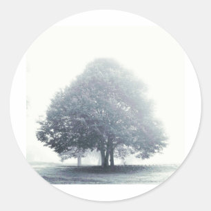 A Tree in Fog Classic Round Sticker