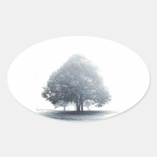 A Tree in Fog Oval Sticker