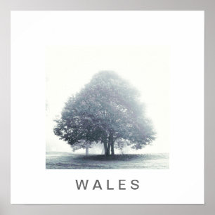 A Tree in Fog Poster