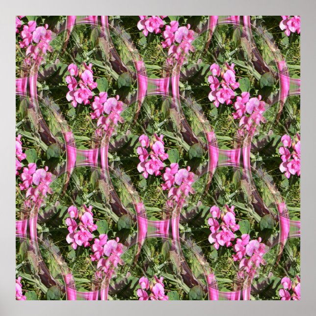 A trellis of Sweet peas.... Poster (Front)