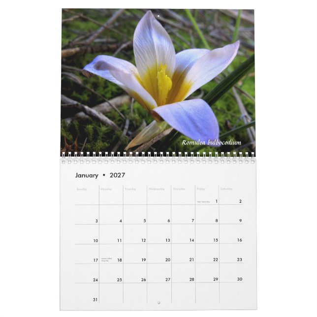 A tribute to the flora of Northern Greece Calendar (Jan 2027)