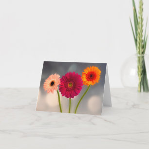 A Trio of Gerberas Folded Greeting Card