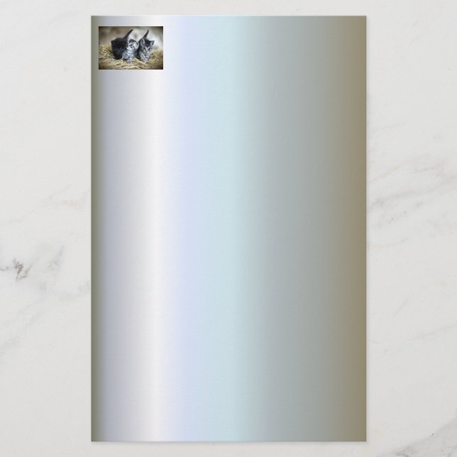 A Trio of Kittens Nesseled Together Stationery (Front)