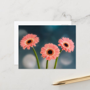 A Trio of Pink Gerberas Postcard