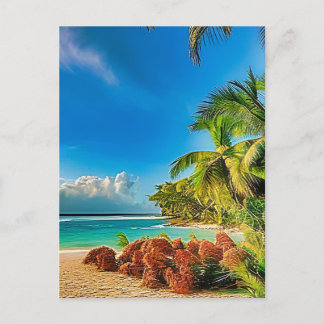 A tropical paradise.   postcard
