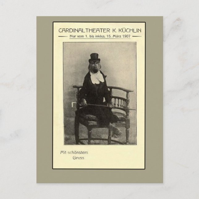 A True Oddity - A Monkey in a Suit Postcard (Front)