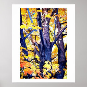 A Trunks View in Autumn Poster