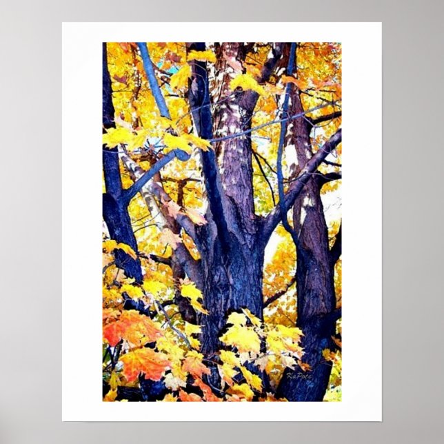 A Trunks View in Autumn Poster (Front)