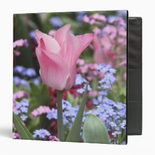 A tulip at Luxembourg Gardens, Paris, France Binder