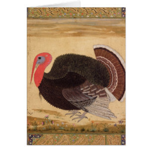 A turkey-cock, brought to Jahangir
