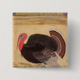 A turkey-cock, brought to Jahangir 2 Inch Square Button