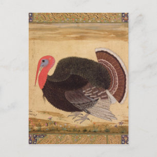 A turkey-cock, brought to Jahangir Postcard